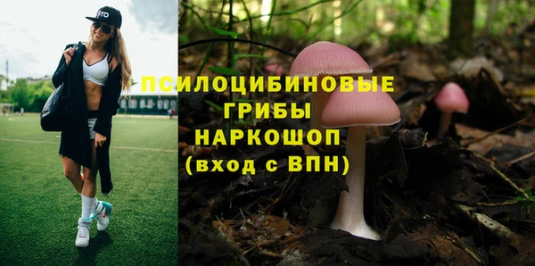 МДПВ Балабаново
