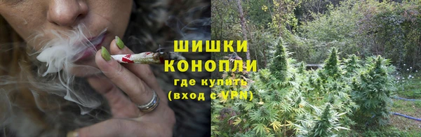 apvp Балахна