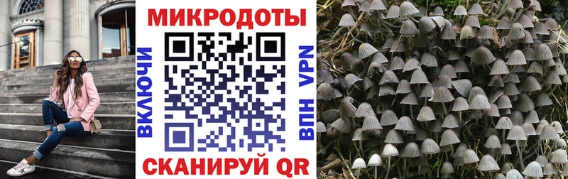 Псилоцибиновые грибы Magic Shrooms  blacksprut вход  дарк нет клад  где купить наркоту  Семилуки 